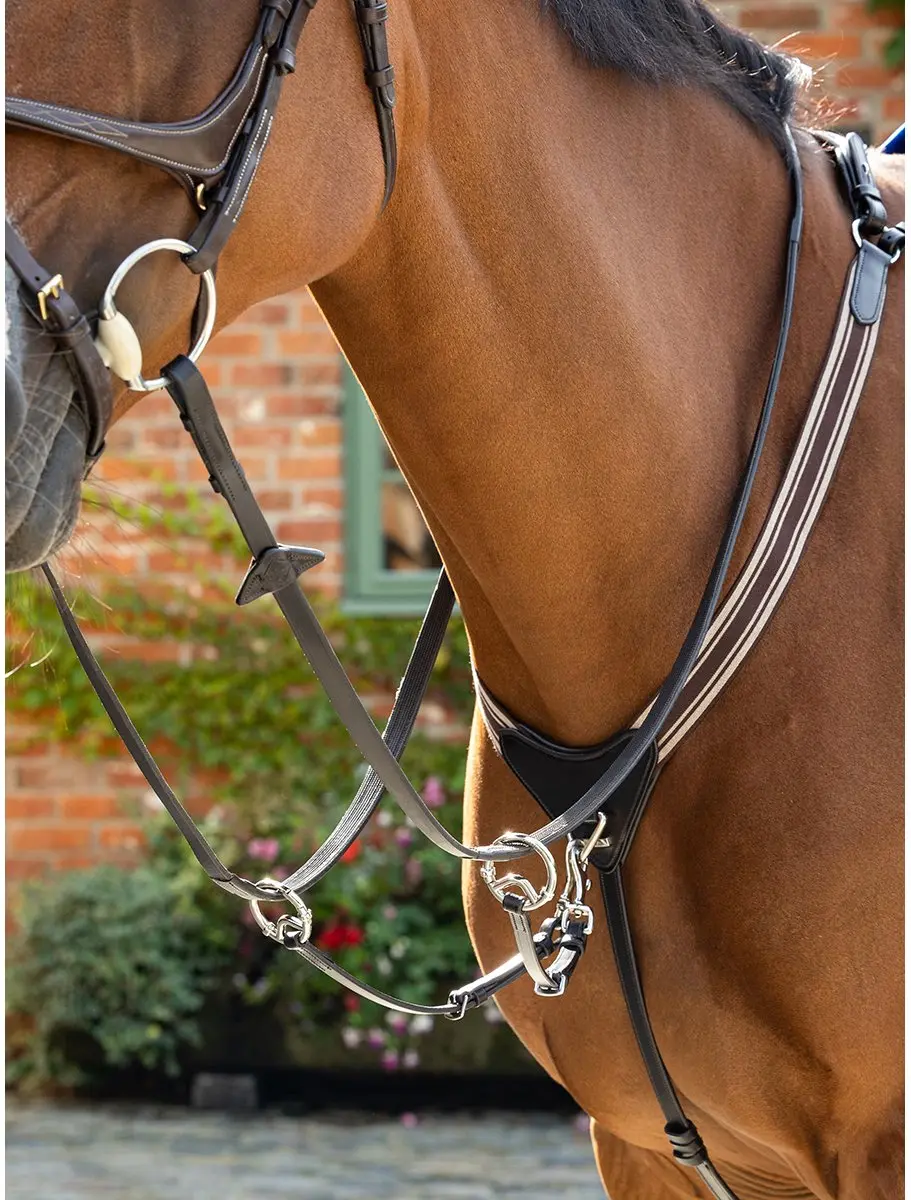 Lemieux Arika Borsttuig Full - Bruin-zilver