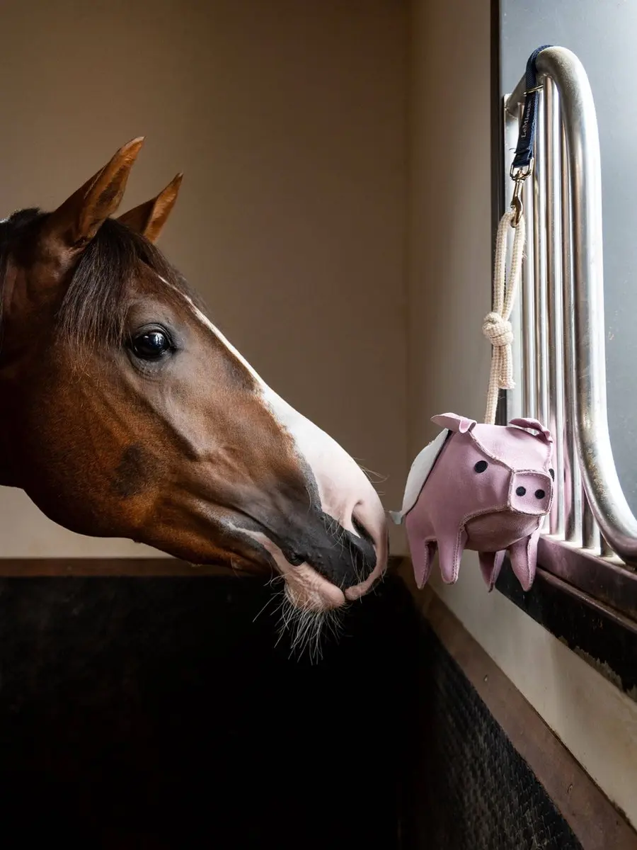 Lemieux Horse Toy Flying Pig Roze - afbeelding 6 van 6