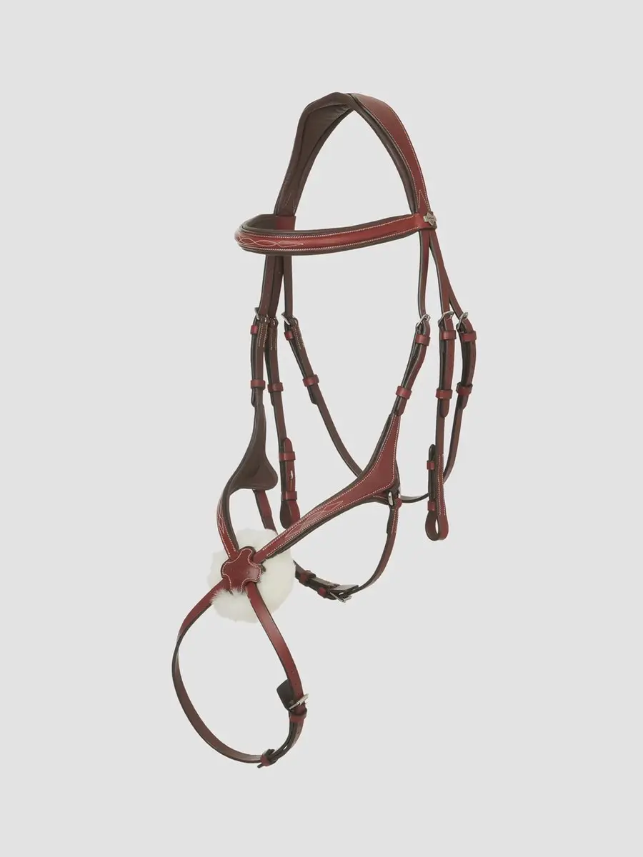 LeMieux Kudos Grackle Hoofdstel Full Chestnut/Zilver