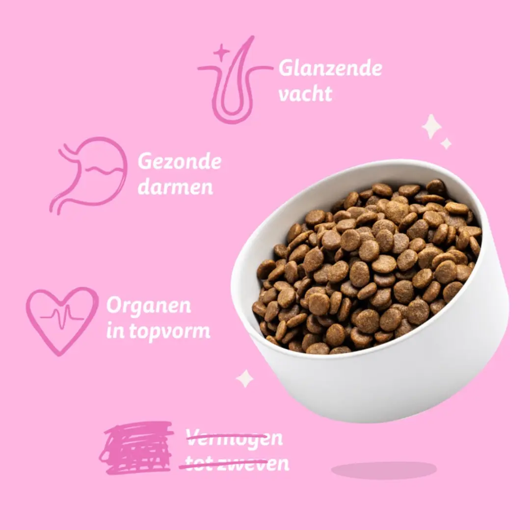 Edgard & Cooper Plantbased Adult Rode Biet & Pompoen Hondenvoer - 4x2,5kg