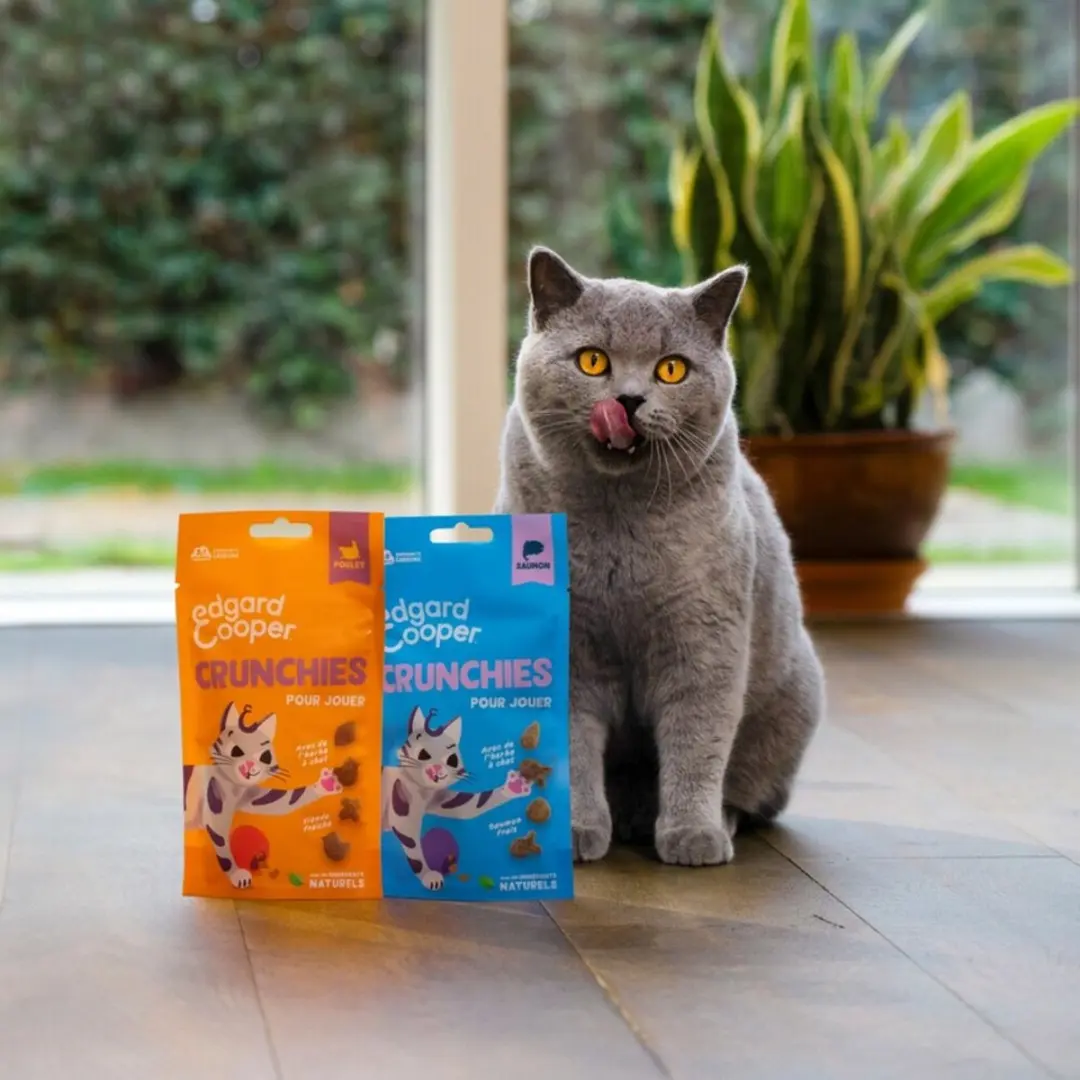 Edgard & Cooper Adult Crunchies Kattensnack Zalm - 8x50g