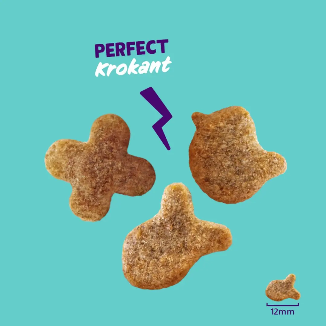 Edgard & Cooper Adult Crunchies Kattensnack Zalm - 8x50g