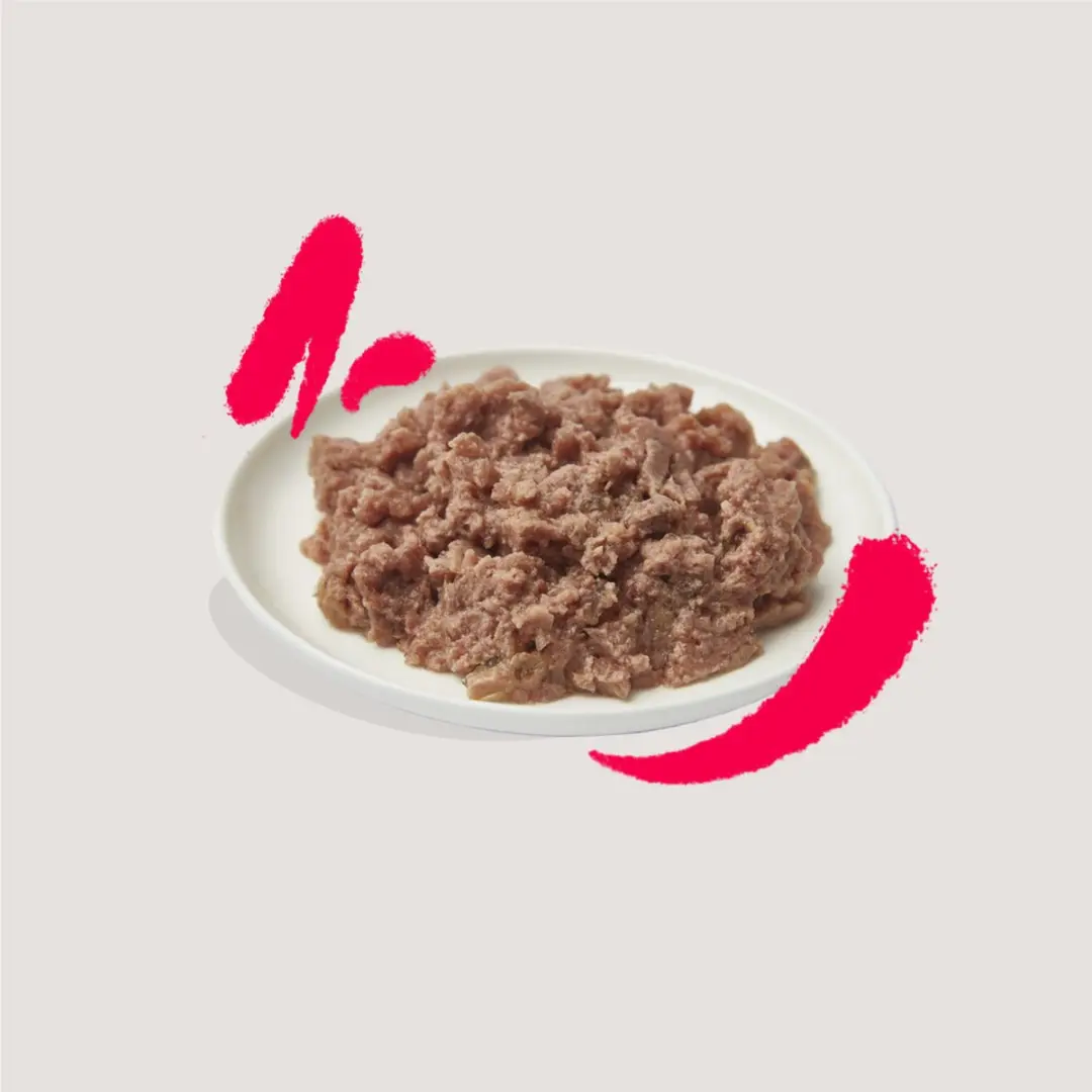 Edgard & Cooper Senior Pate Kip - Kalkoen 85g