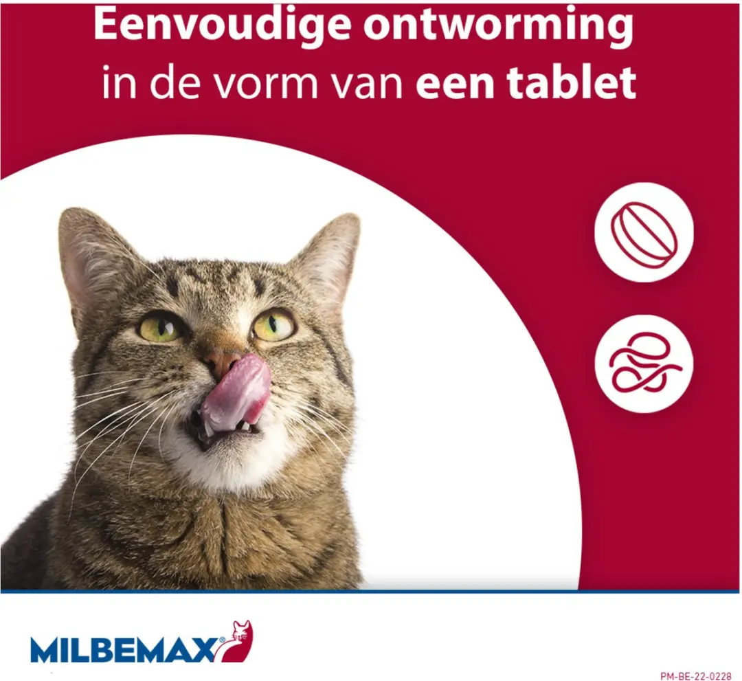 Milbemax Kitten & Kat Anti-wormenmiddel 2 tabletten
