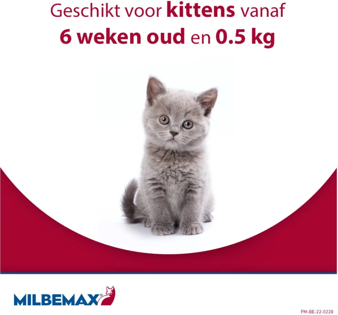 Milbemax Kitten & Kat Anti-wormenmiddel 2 tabletten