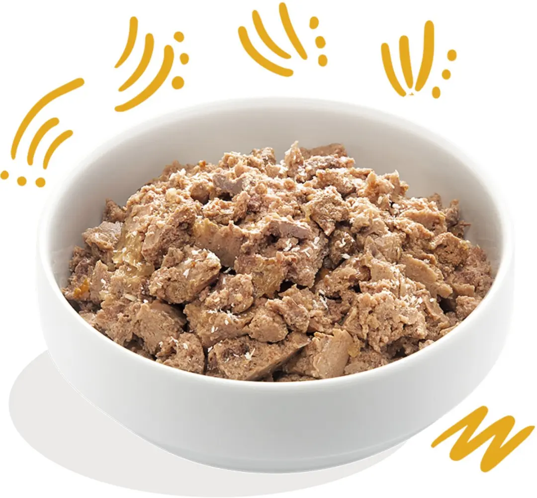 Edgard & Cooper Biologische Kalkoen Kuipje 100g