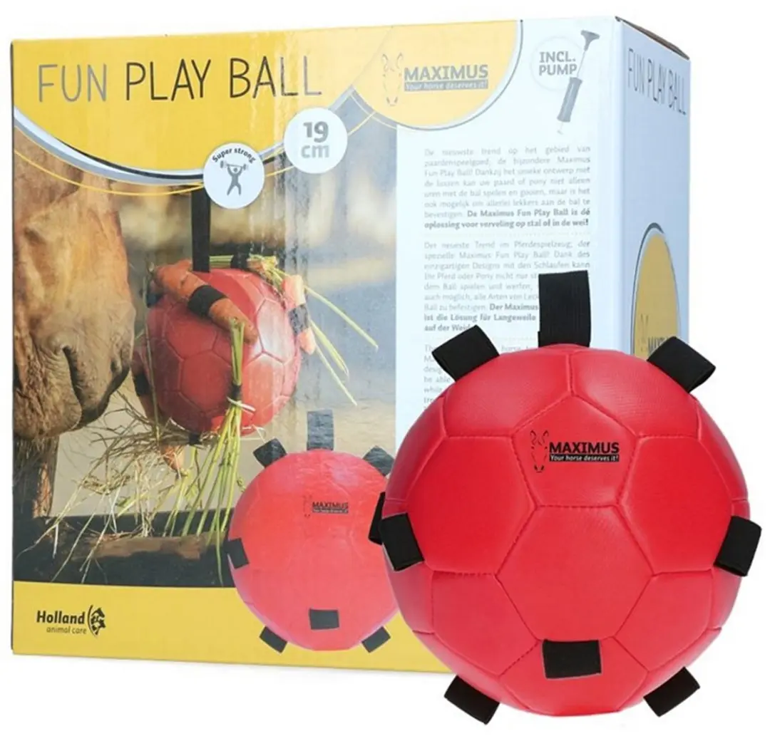 Maximus Excellent Horse Fun Play Ball