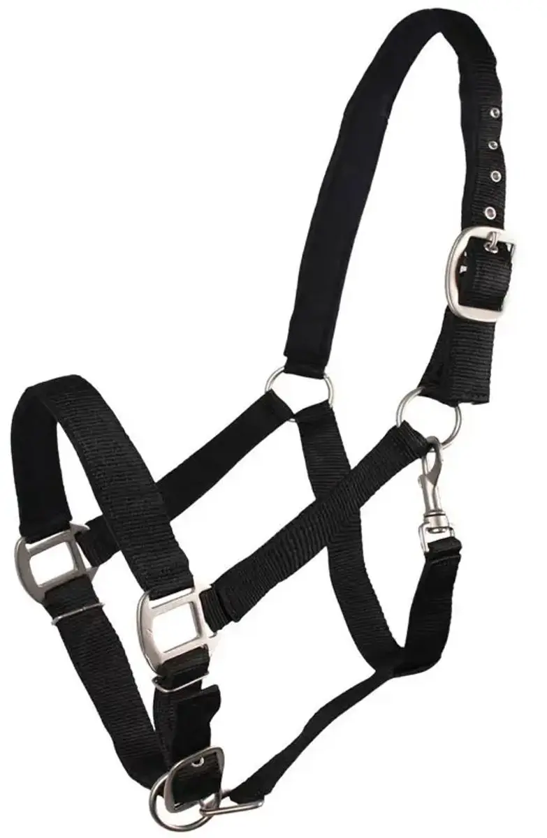 QHP Halster Gevoerd Cob - Zwart - afbeelding 6 van 6