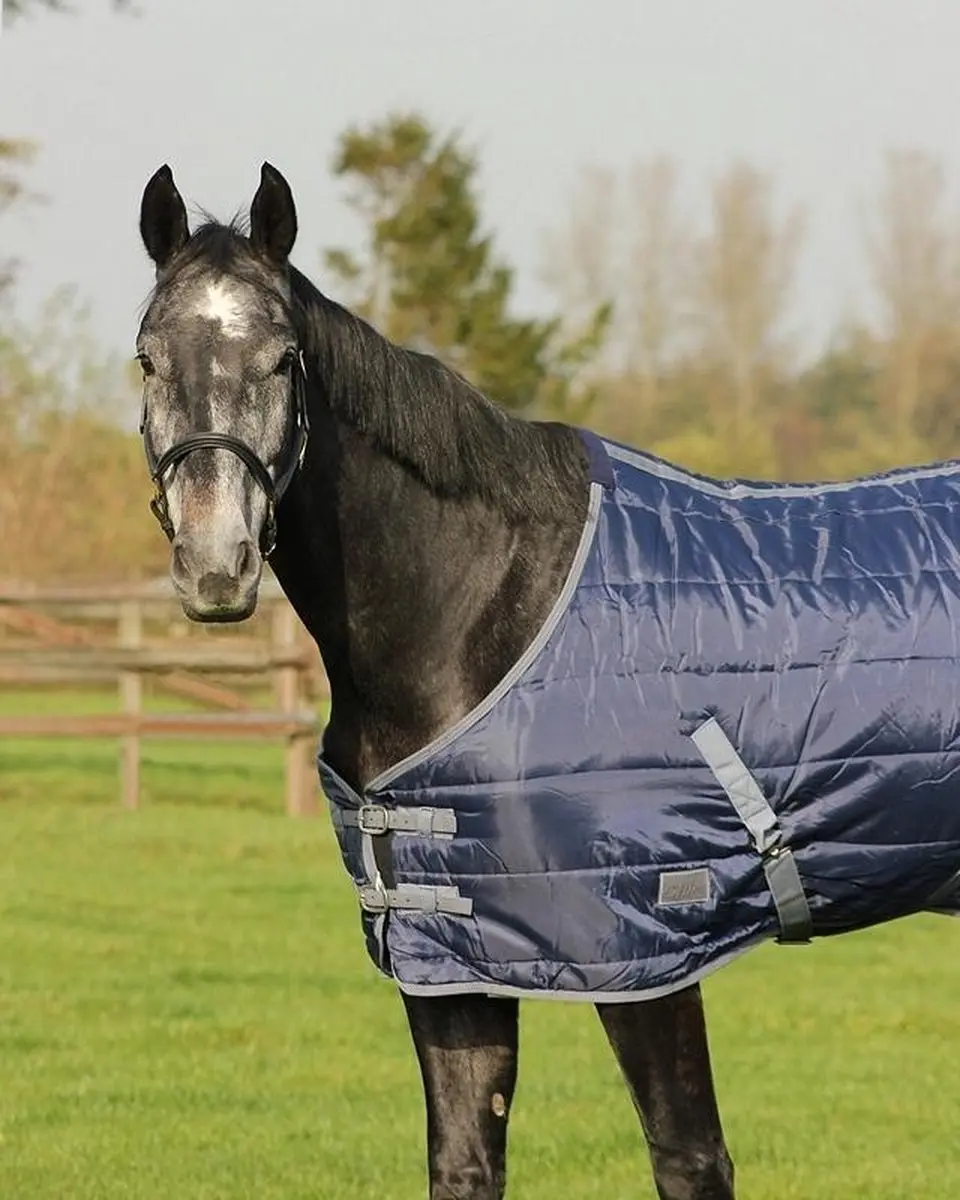 QHP Staldeken Start Nylon 150g - Donkerblauw