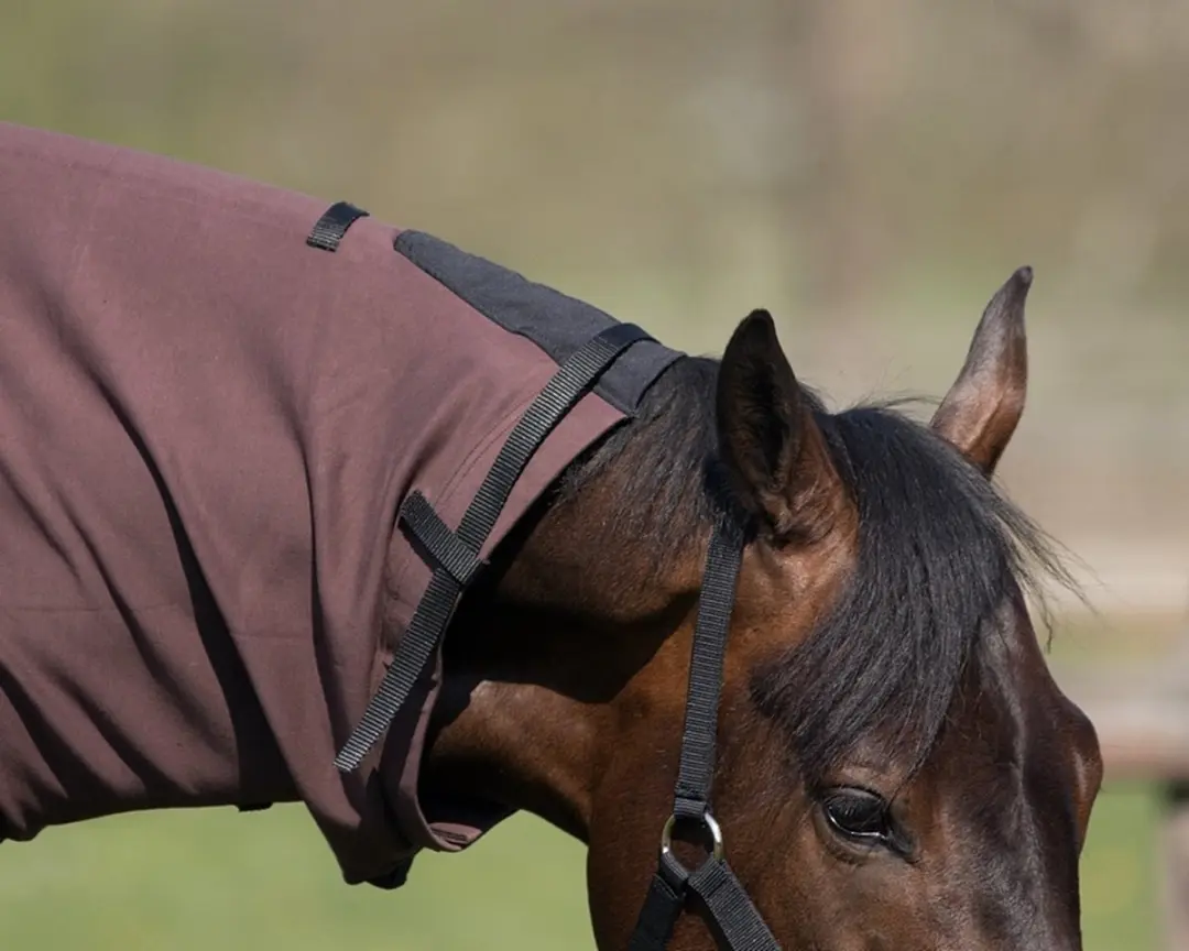 QHP Halsdeken Eczeem Bruin - XL