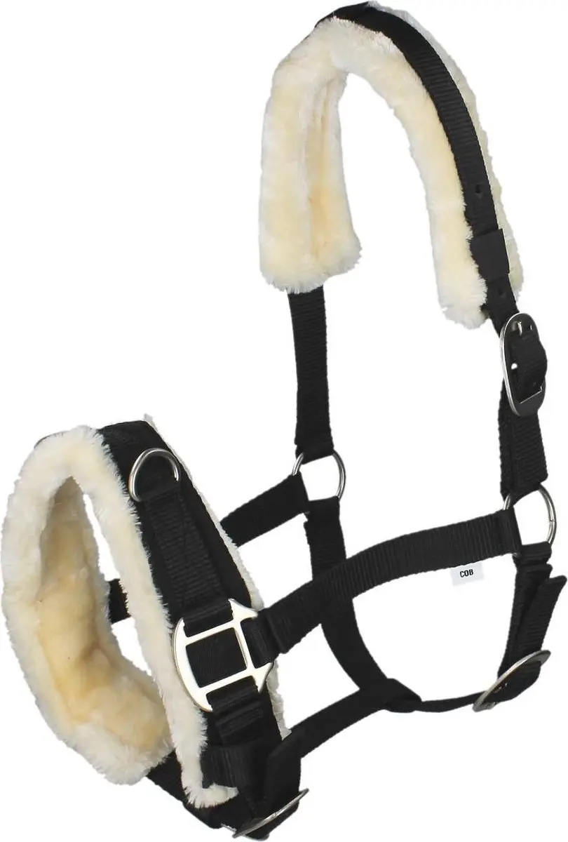 Kaptoom Qhp Nylon