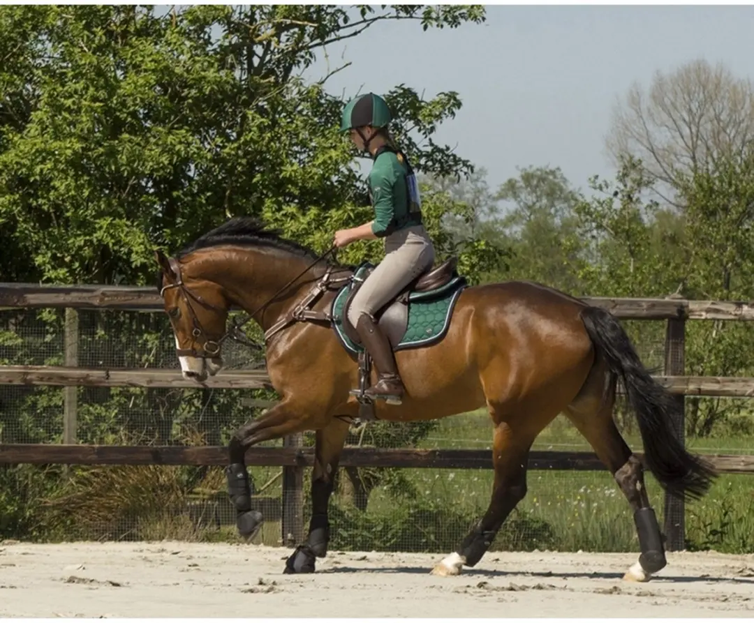 QHP Springschoen Technical Zwart - L
