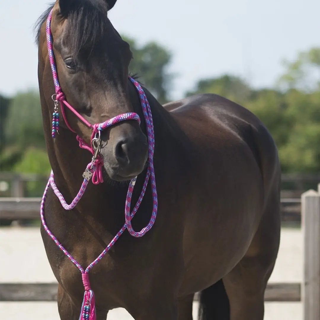 QHP Touwhalster & Neckrope Liberty Fuchsia - Pony - afbeelding 6 van 6