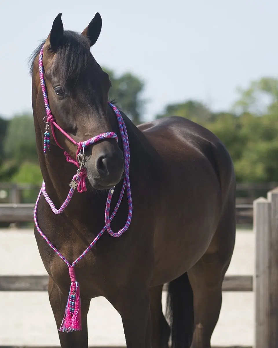 QHP Touwhalster & Neckrope Liberty Fuchsia