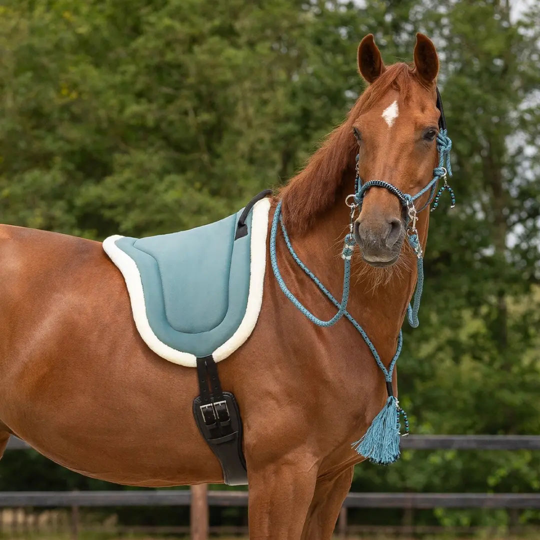 QHP Touwhalster Combi Liberty - Pony Groen