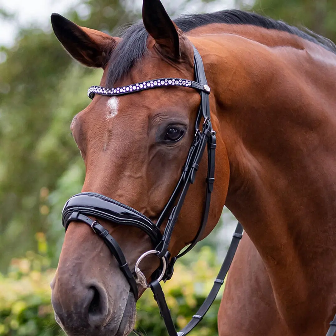 QHP Orlando Hoofdstel - Cob - Zwart