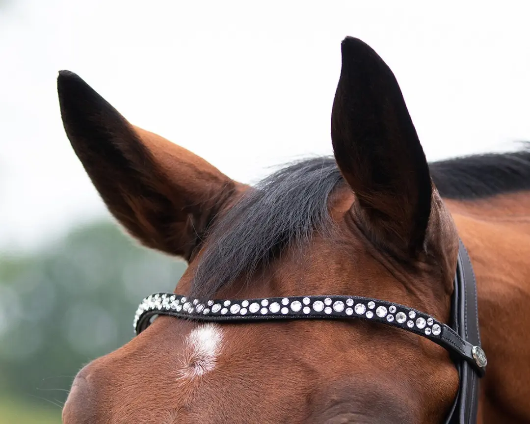 QHP Orlando Hoofdstel - Cob - Zwart