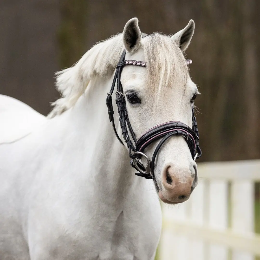 QHP Bixie Hoofdstel Full - Zwart-Roze - afbeelding 6 van 6