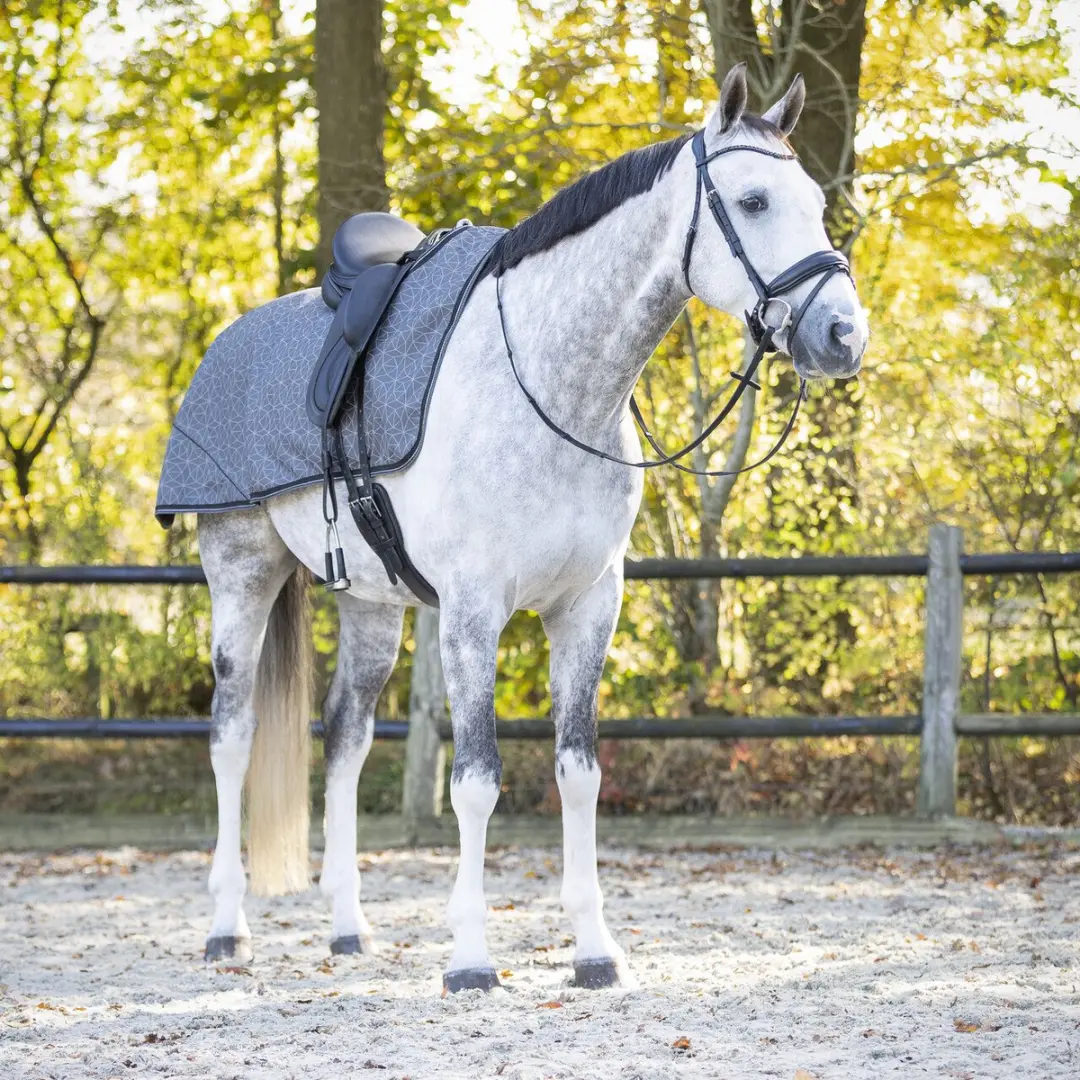 QHP Collection Fleecedeken Paard - Lente Grijs S - afbeelding 2 van 6