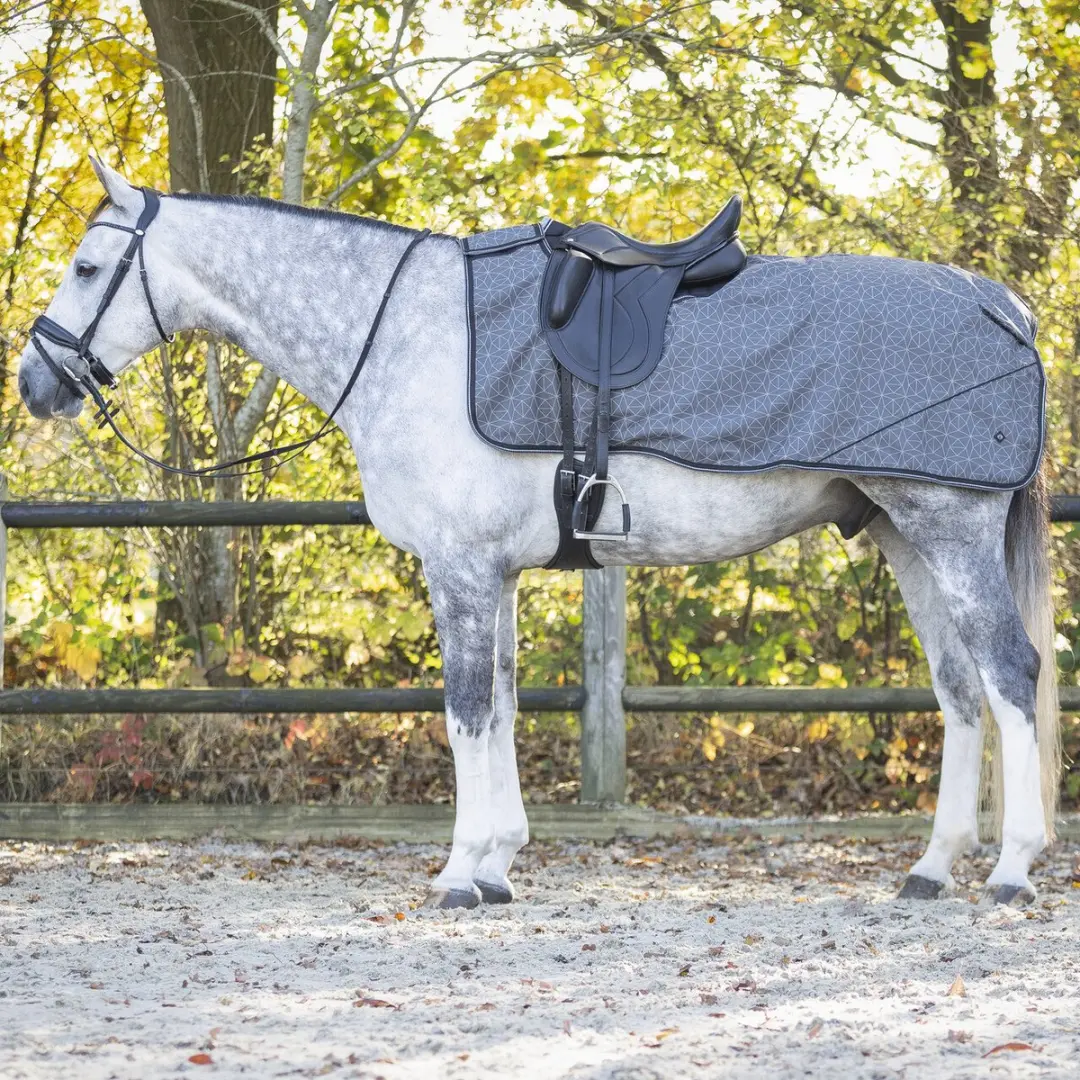 Fleecedeken voor paarden QHP Collection