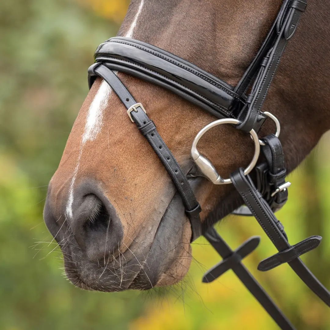 QHP Hoofdstel Sunset - Pony - Zwart - afbeelding 6 van 6