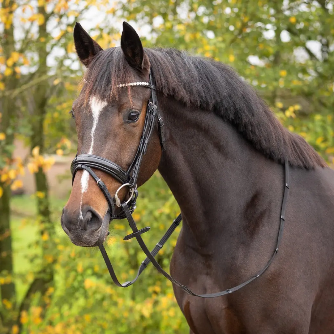 QHP Hoofdstel Sunset - Pony - Zwart - afbeelding 4 van 6
