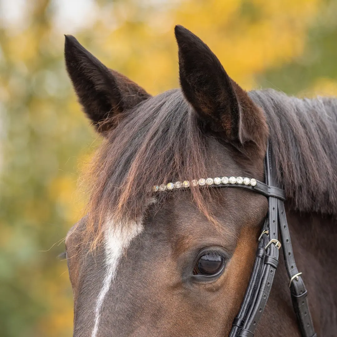 QHP Hoofdstel Sunset - Pony - Zwart - afbeelding 5 van 6