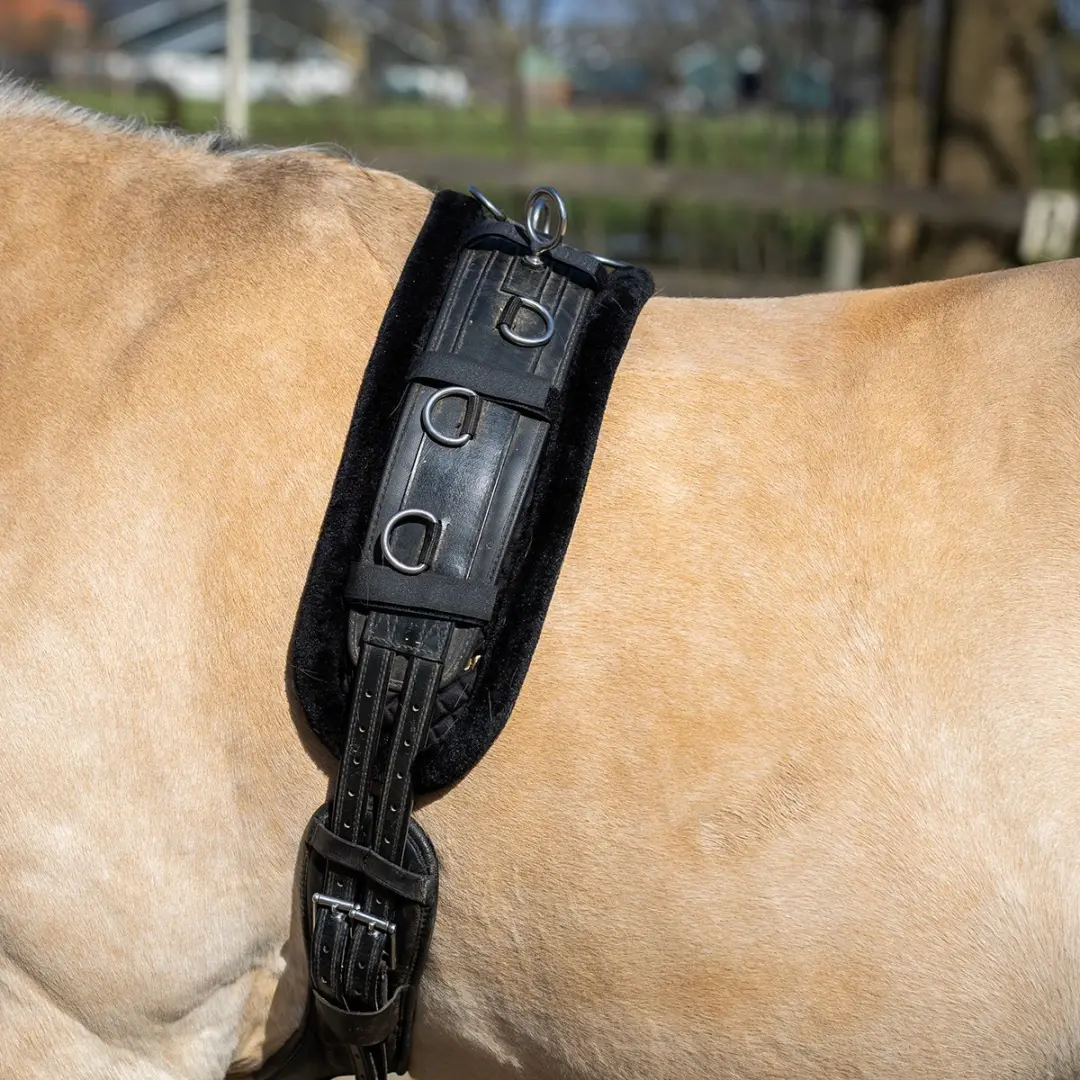 Horsegear Longeerpad HGfur