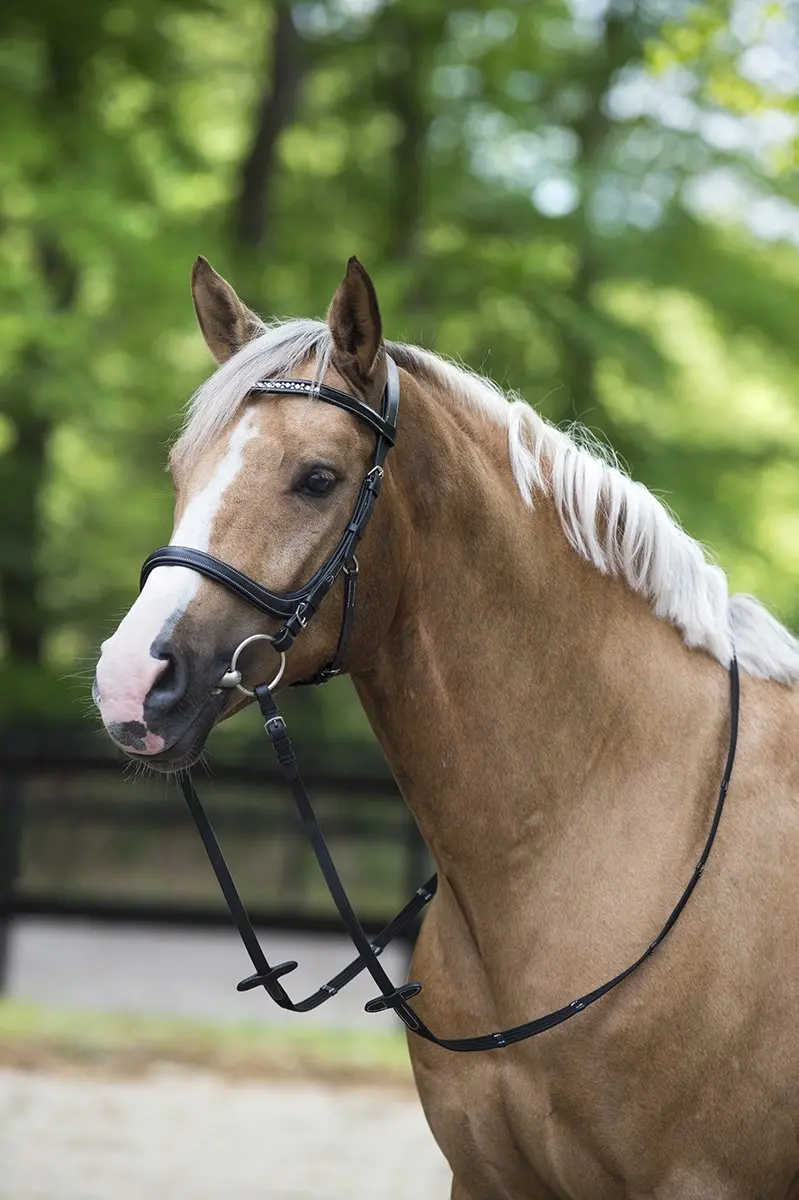 Horsegear Styx Hoofdstel Full - Zwart