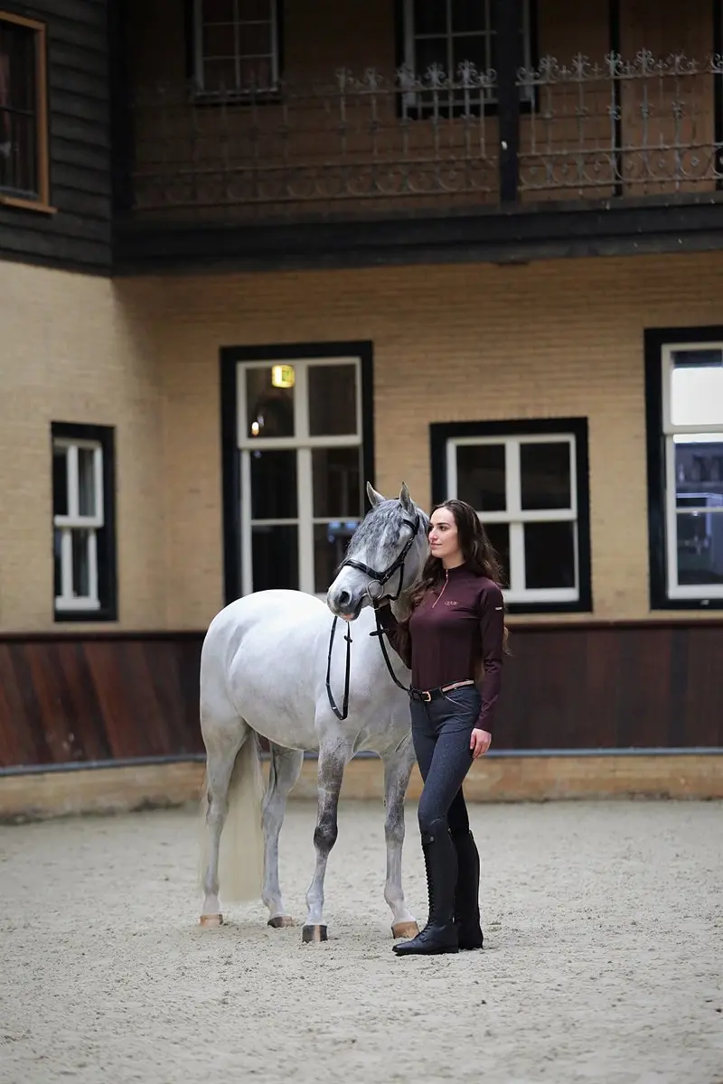Horsegear Styx Hoofdstel Full - Zwart