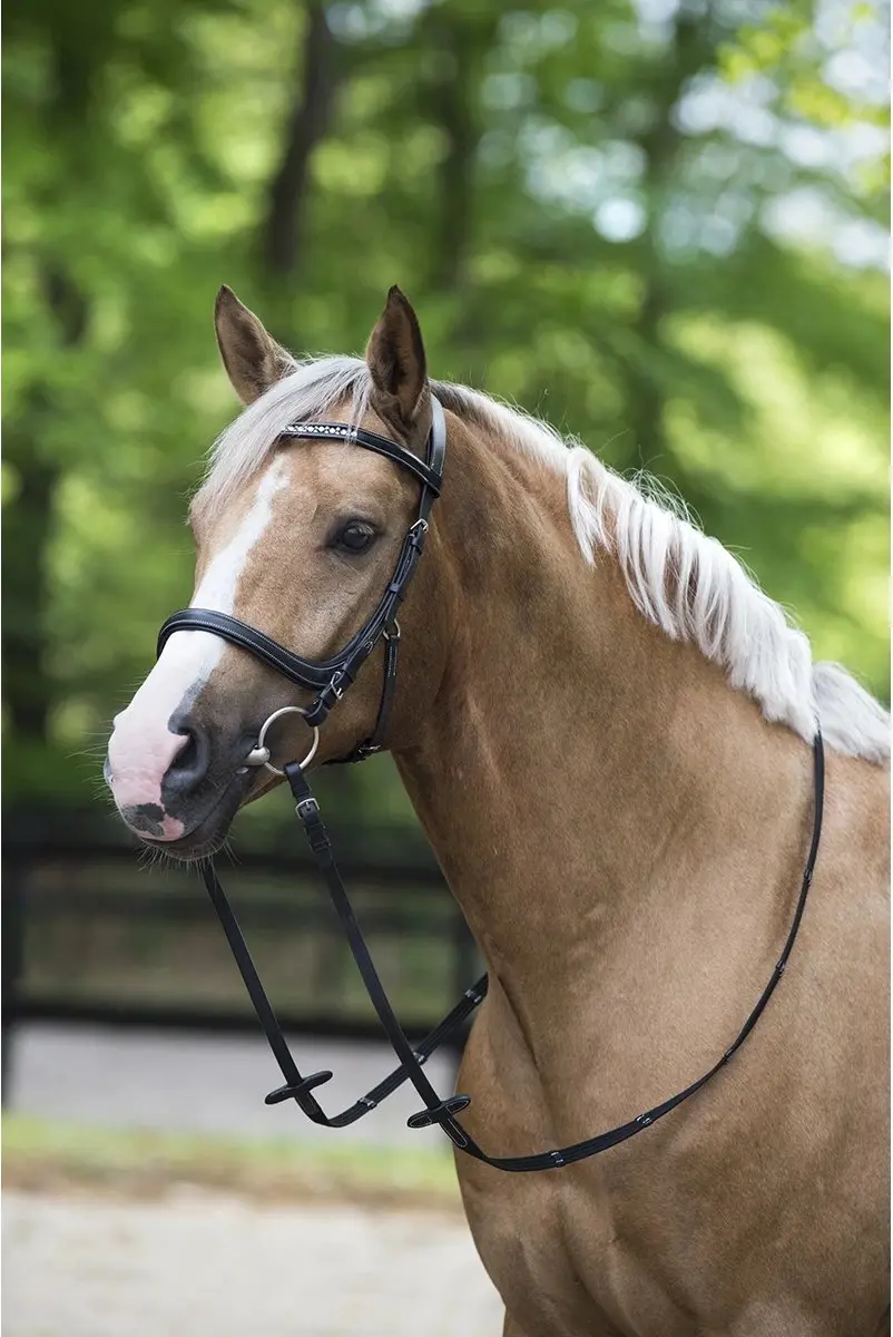 Horsegear Styx Hoofdstel Full - Zwart