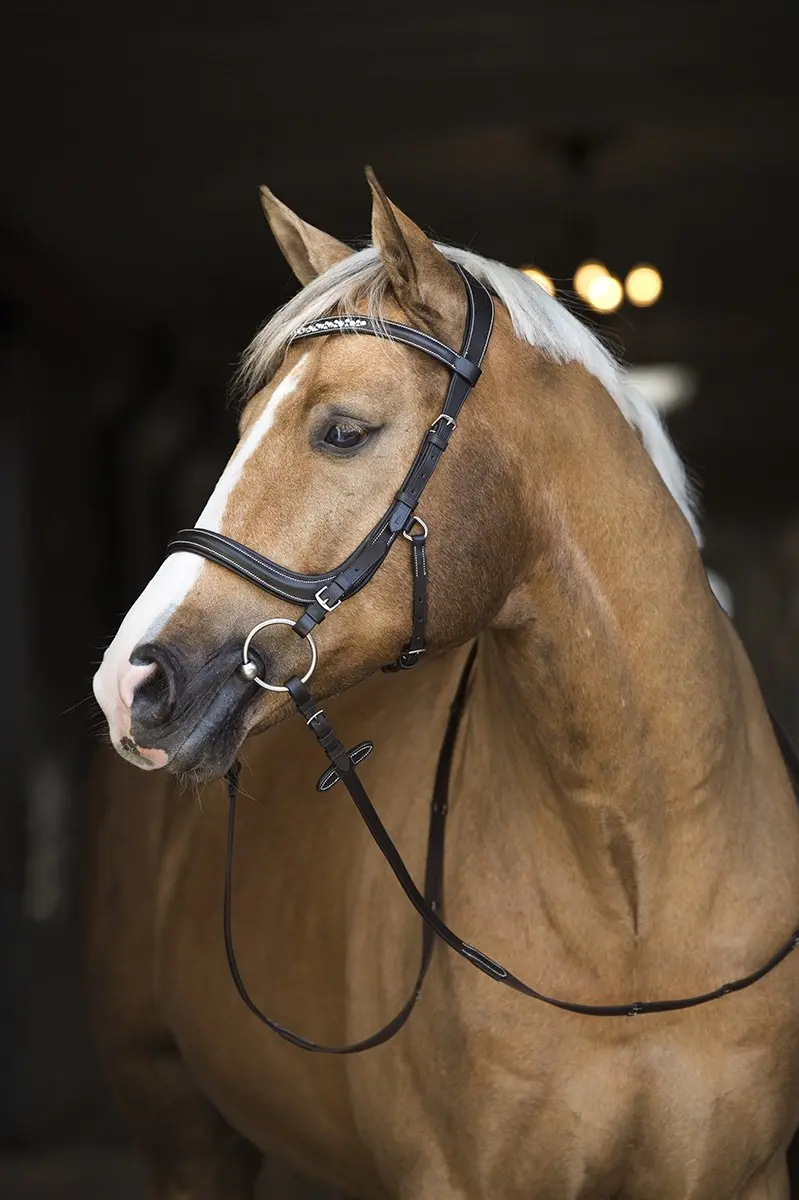 Horsegear Styx Hoofdstel - Cob - Bruin