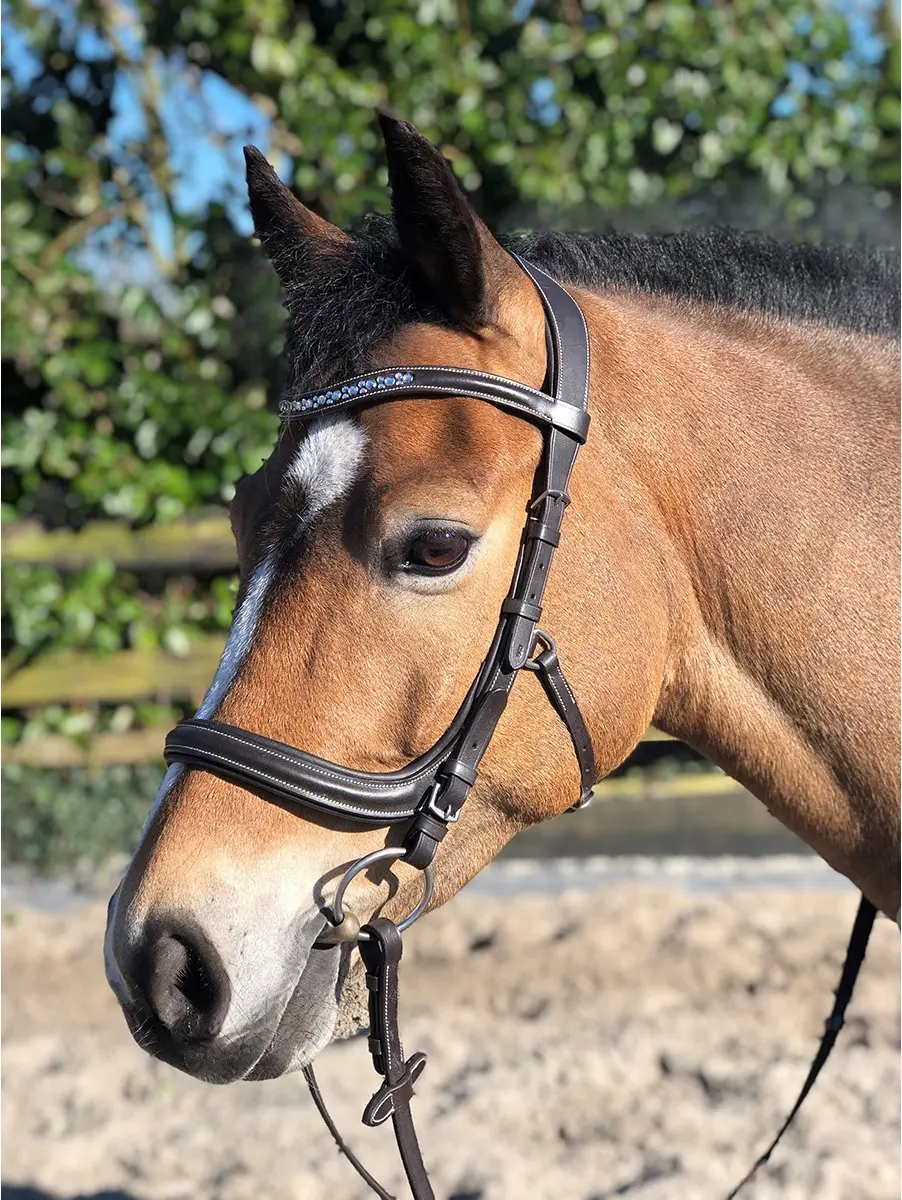 Horsegear Styx Hoofdstel - Cob - Bruin