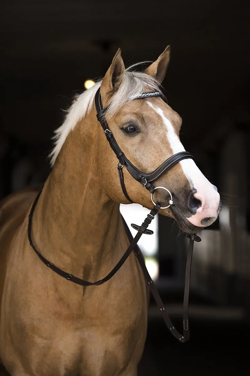 Horsegear Styx Hoofdstel - Cob - Bruin