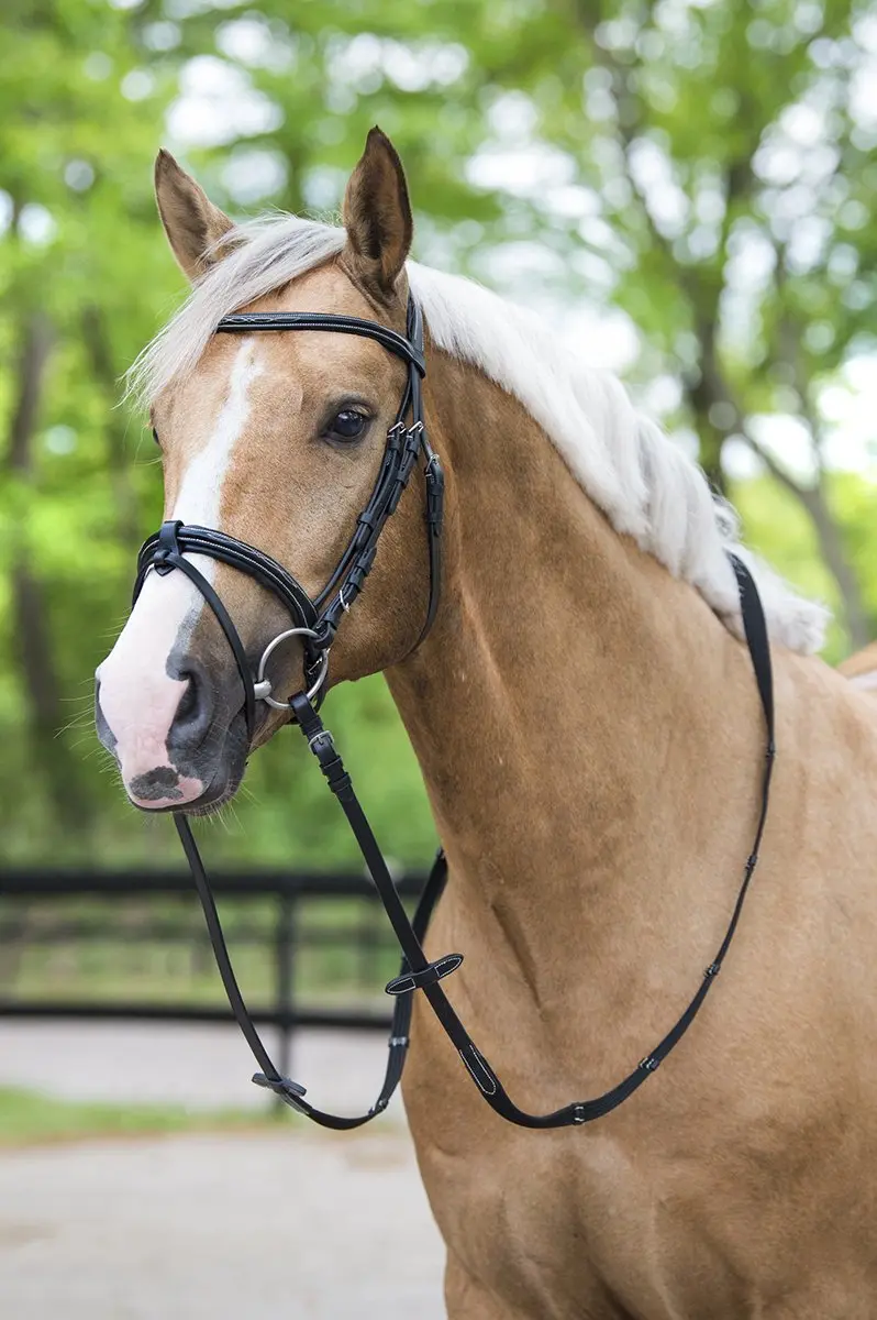 Horsegear Hoofdstel Taron - Pony - Zwart