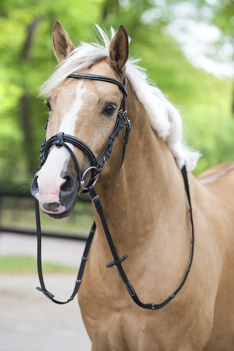 Horsegear Hoofdstel Taron - Pony - Zwart
