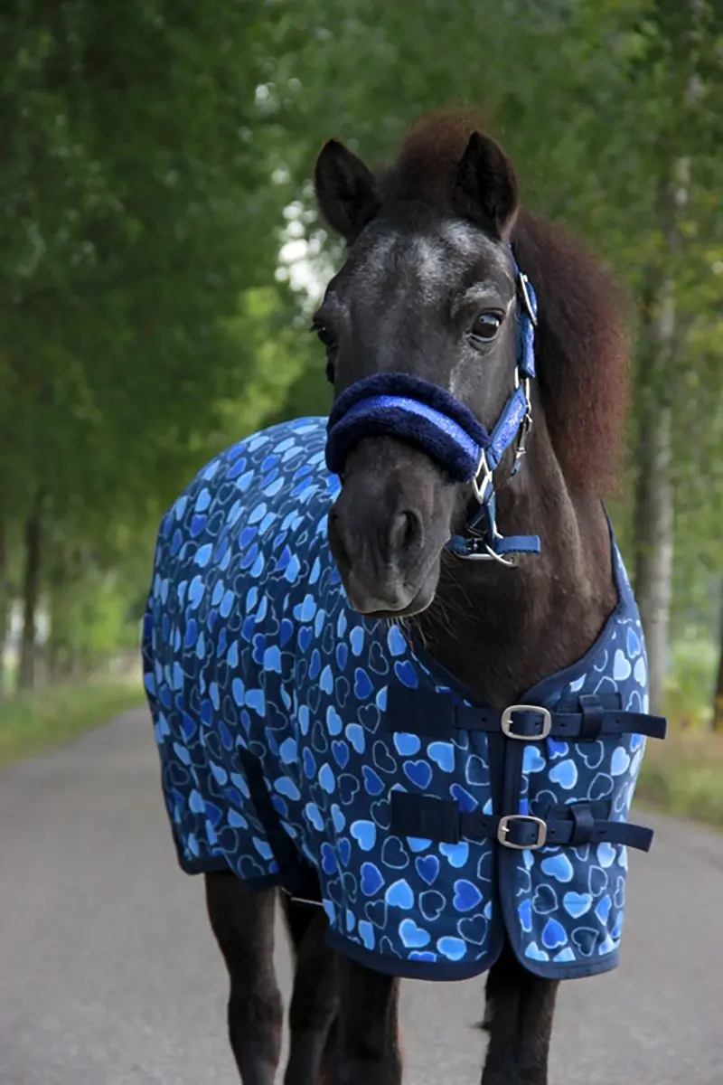 Epplejeck Glamour Halster Cob - Donkerblauw