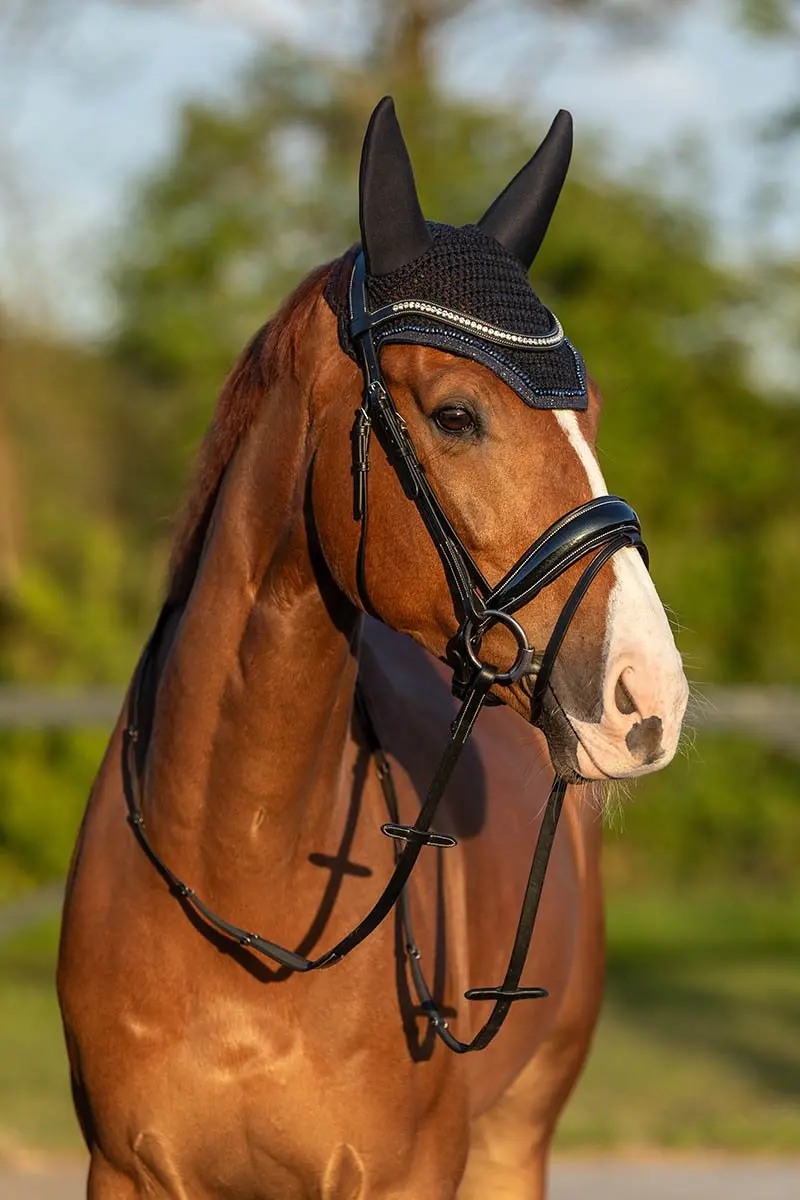 Horsegear HGGreylin Hoofdstel X-Full - Zwart