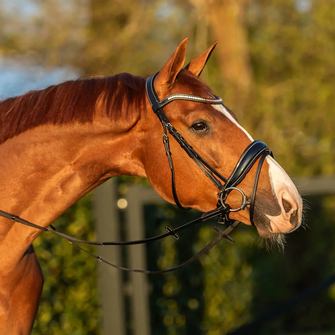 Horsegear HGGreylin Hoofdstel X-Full - Zwart