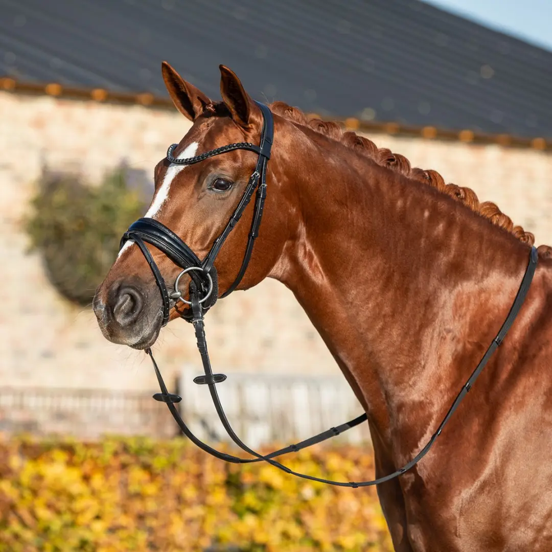 Horsegear Hoofdstel Hgle Noir Pony