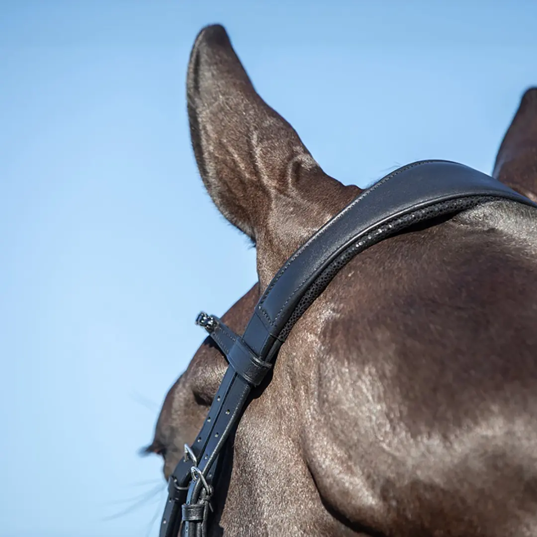 Horsegear Hoofdstel Hgle Noir Pony - Zwart