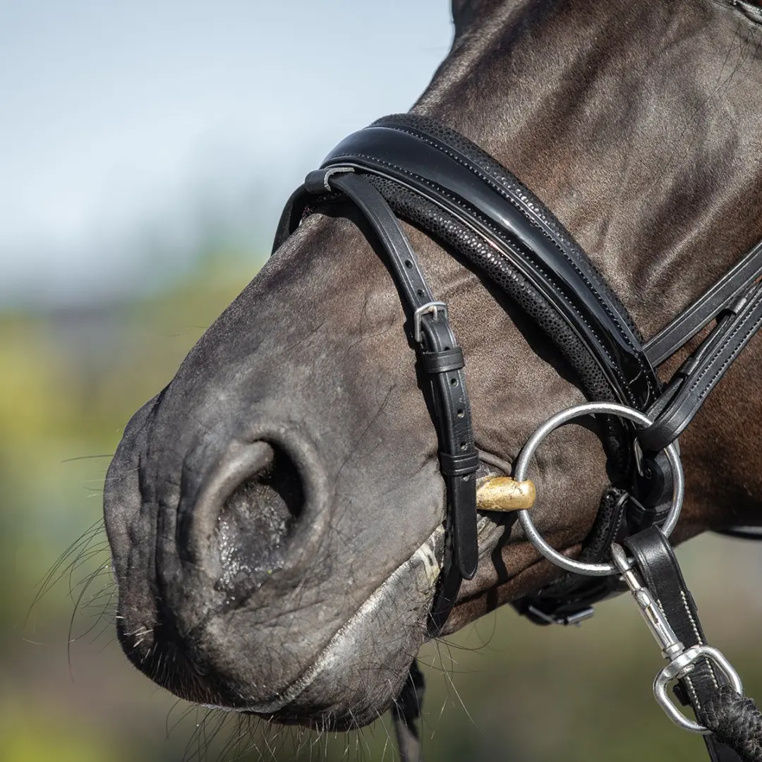 Horsegear Hoofdstel Hgle Noir Pony - Zwart