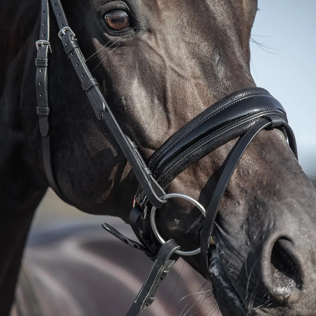 Horsegear Hoofdstel Hgle Noir Pony - Zwart