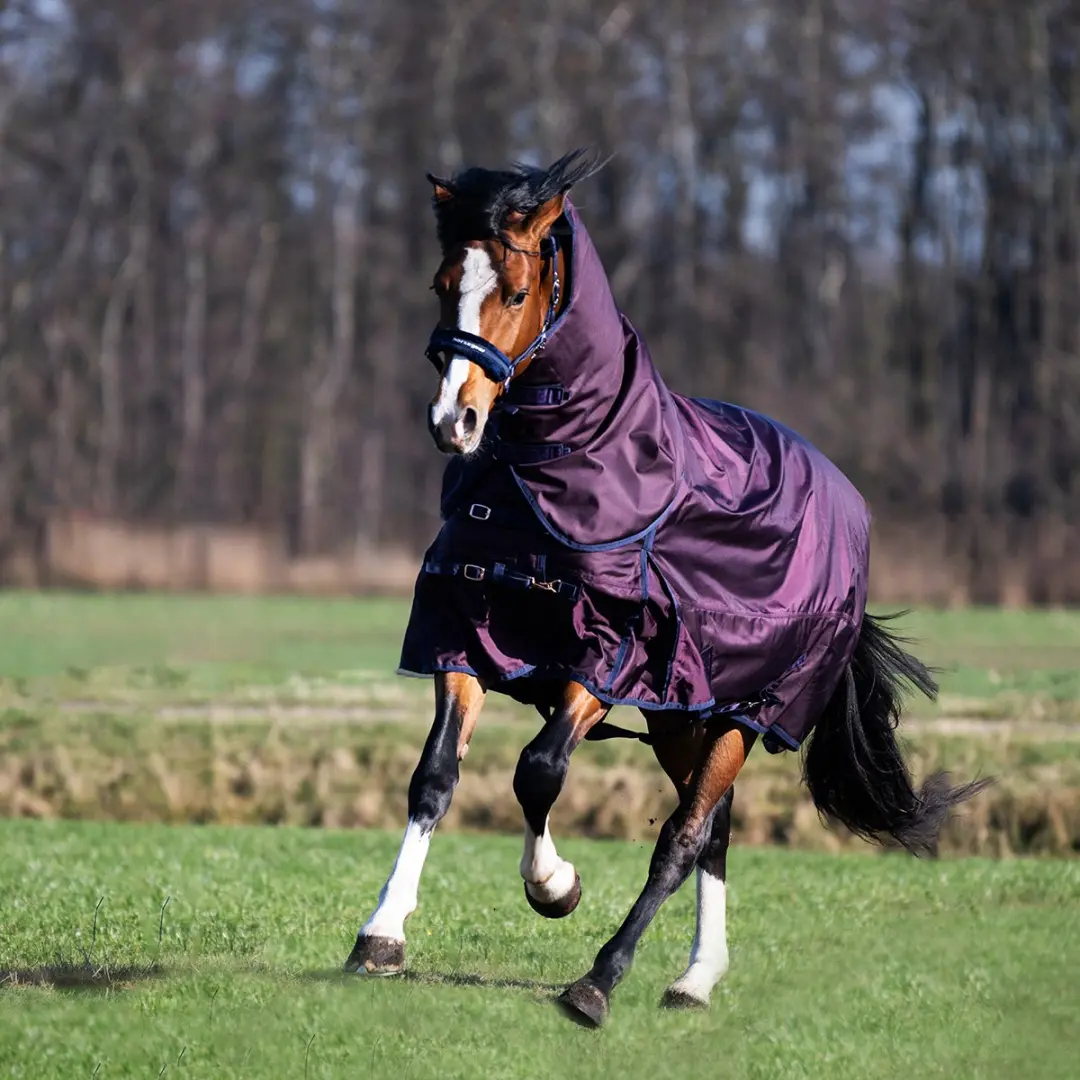 Horsegear HGExtreme 200g Deken - 165/215cm - Paars-blauw