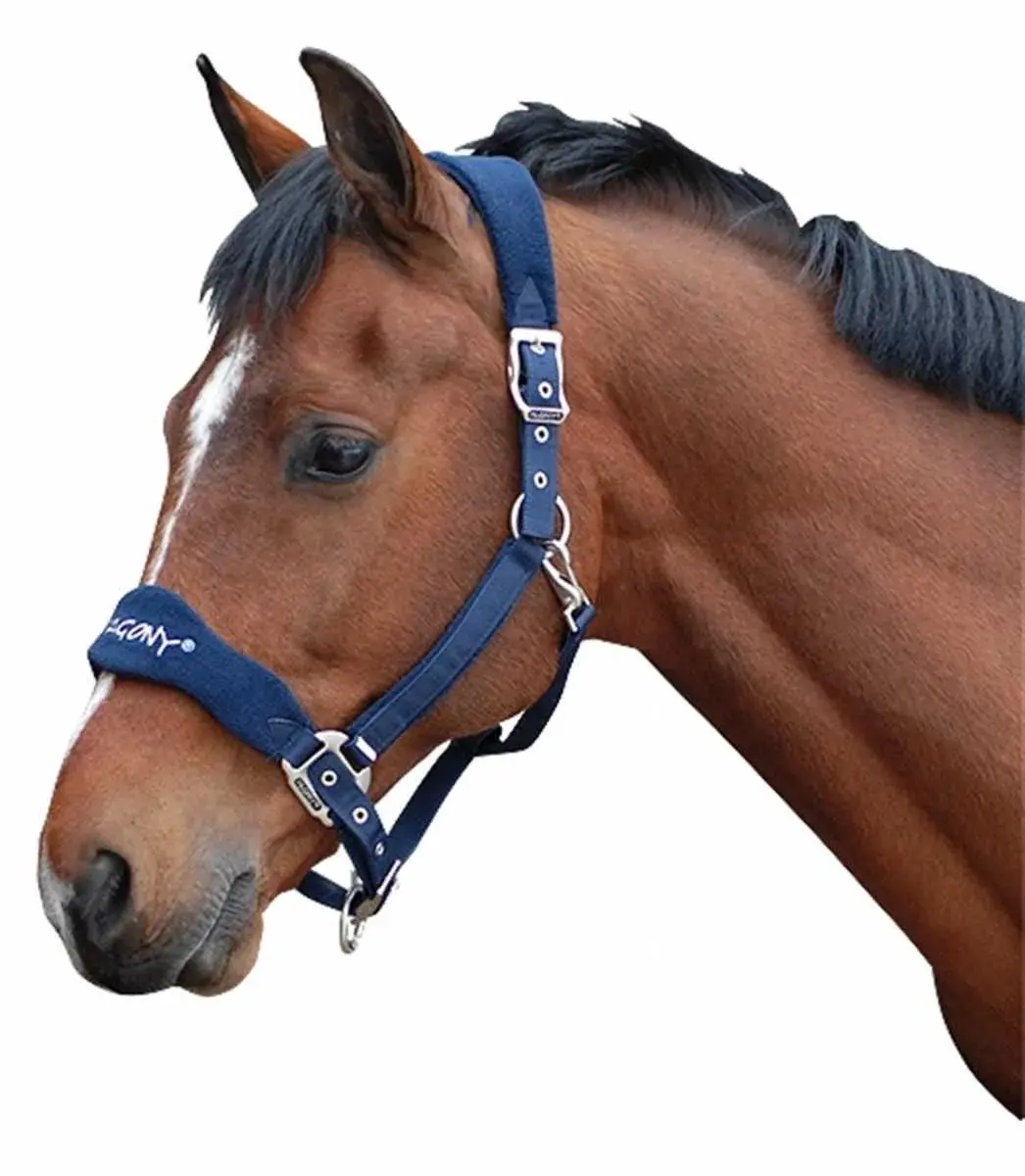 Pagony Halster Reno Cob - Donkerblauw