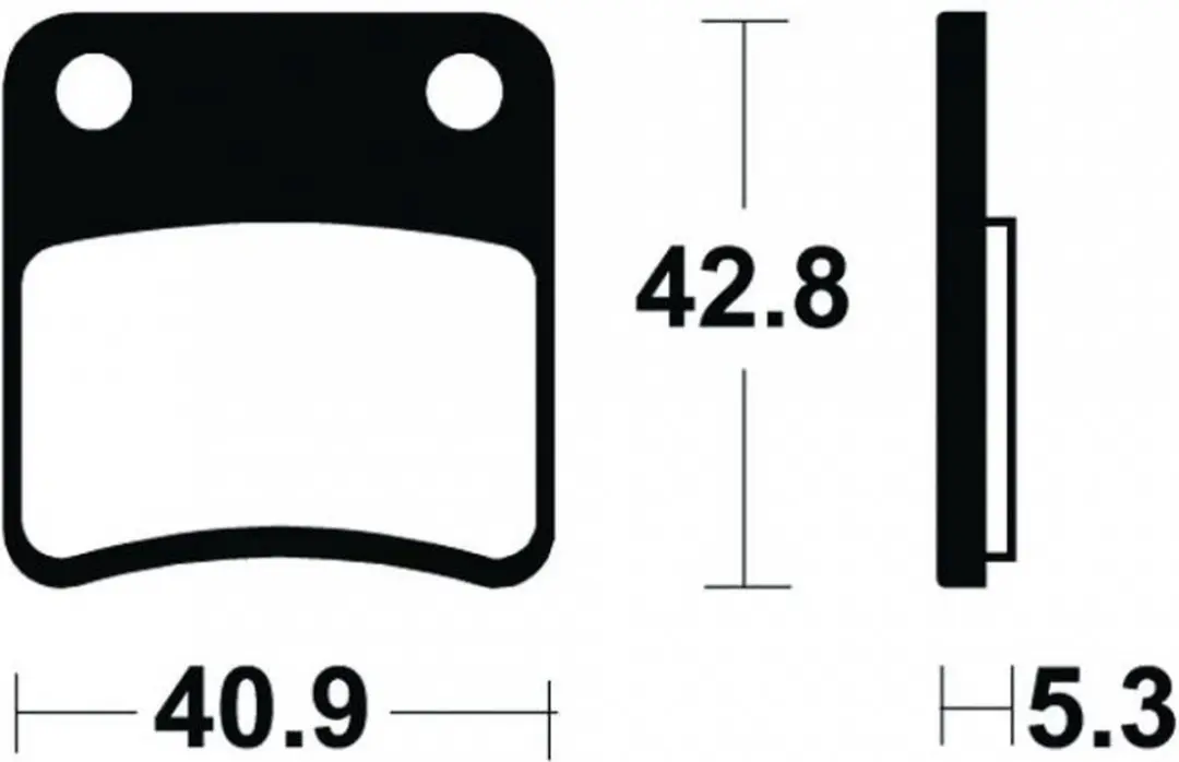 tecnium remblokje voor piaggio 400 mp3 ie scooter 2007 tot 2012 ar nieuw
