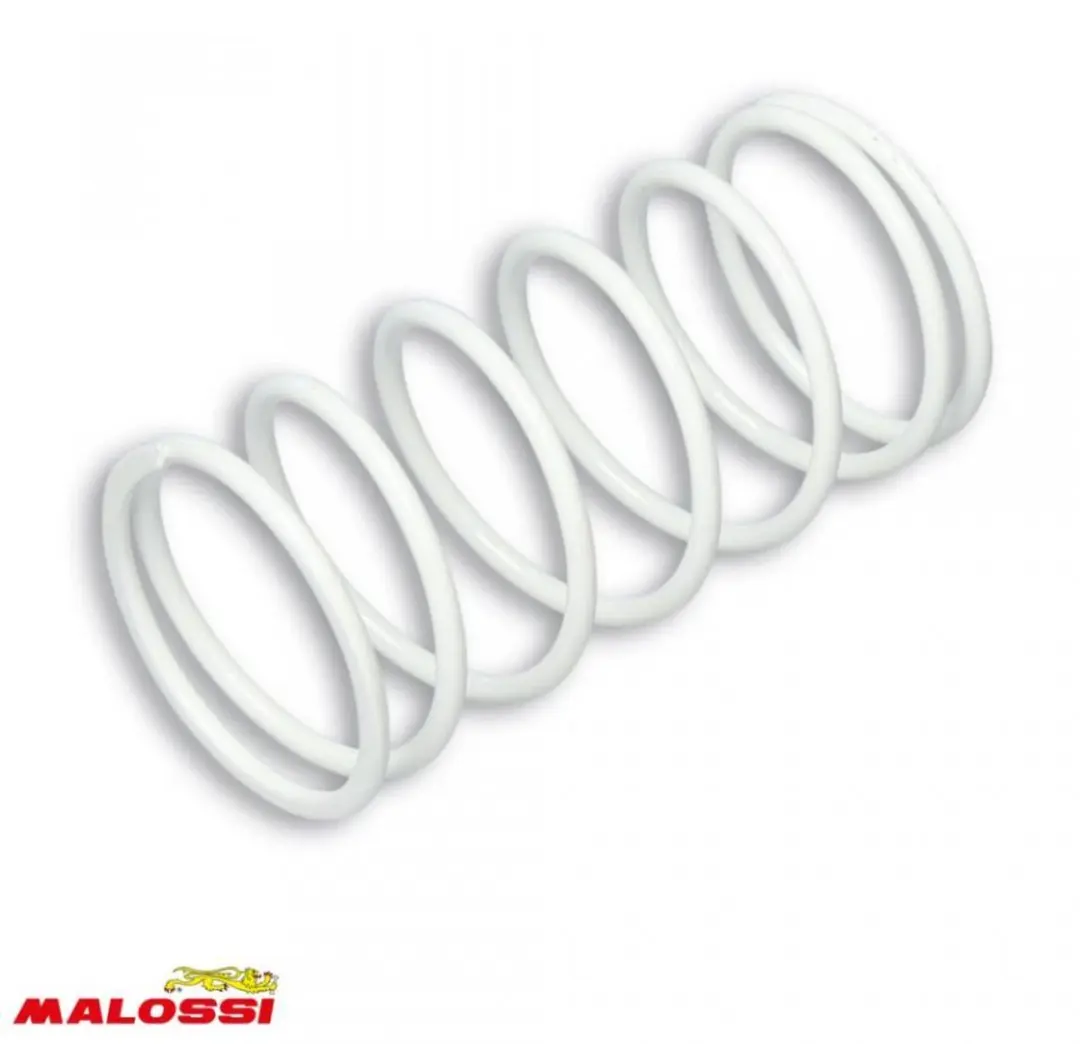 Ressort d embrayage Malossi pour Scooter Aprilia 50 Scarabeo 4T 4V 2010 à 2017