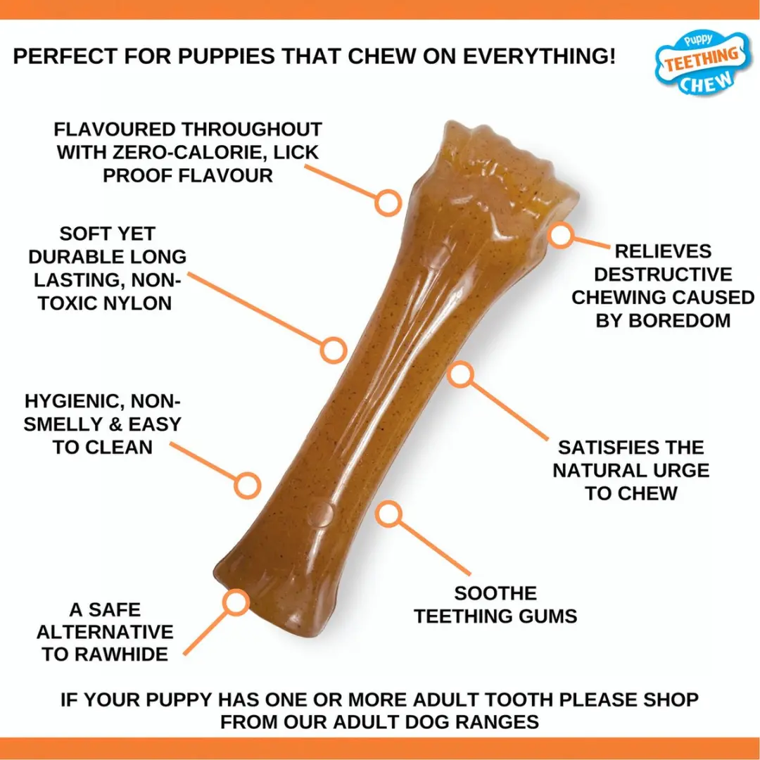 Nylabone Flexible Puppy Bone Souper XLarge - Kip - Multi