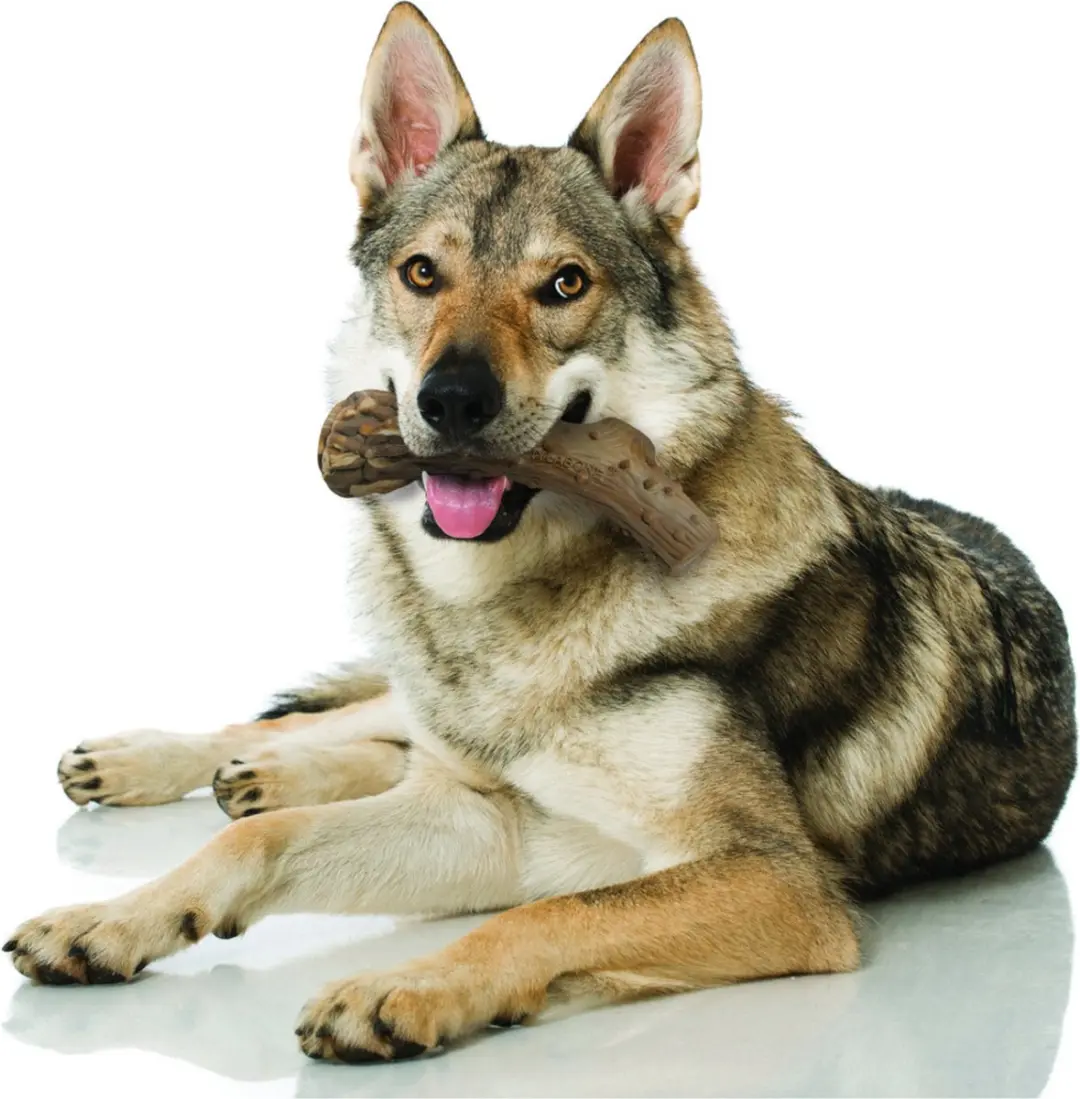 Nylabone Gewei Kauwspeeltje Large - Hertsmaak