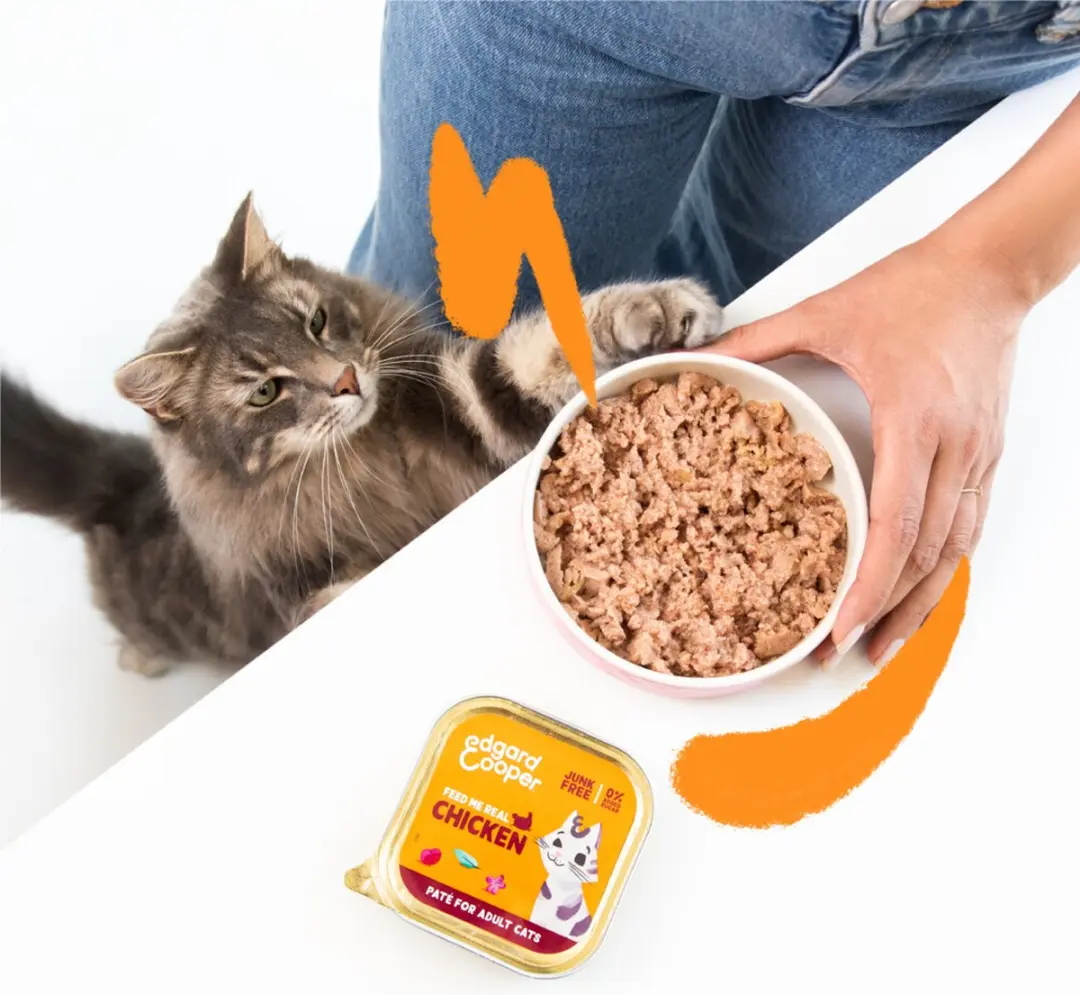 Edgard & Cooper Adult Pate Kip Kattenvoer 85g
